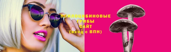 прущие грибы Абдулино