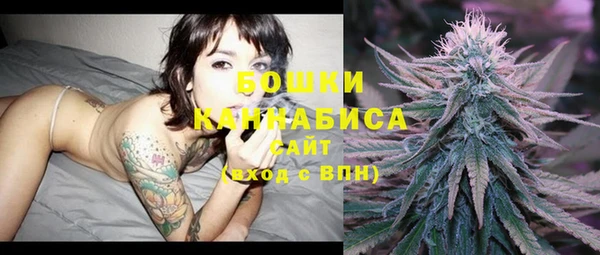 прущие грибы Абдулино