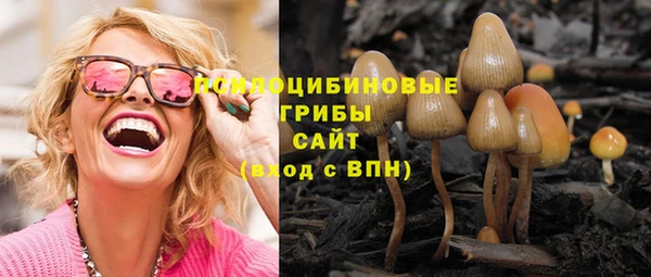 прущие грибы Абдулино