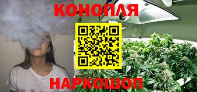ГАЛЛЮЦИНОГЕННЫЕ ГРИБЫ Пугачёв