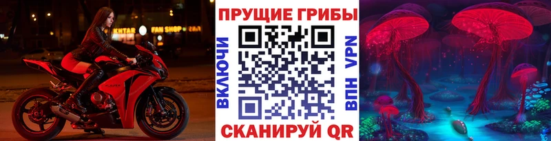 Галлюциногенные грибы Psilocybine cubensis Сызрань