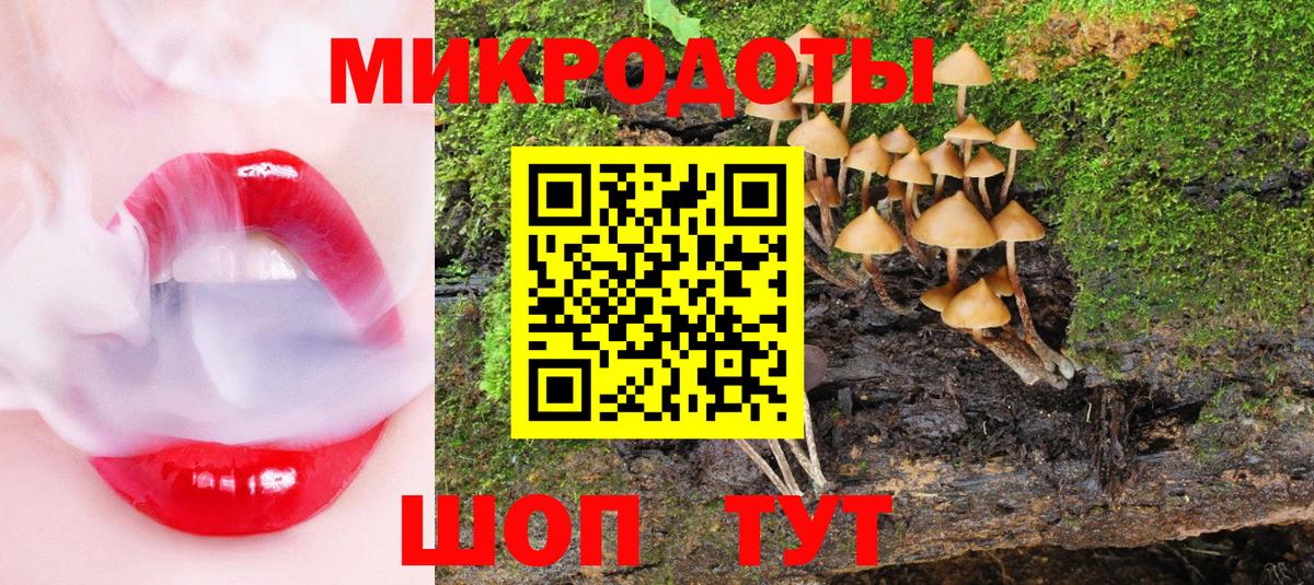 Псилоцибиновые грибы MAGIC MUSHROOMS  Вход с VPN  Сызрань 