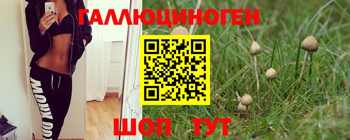 Галлюциногенные грибы ЛСД Сызрань